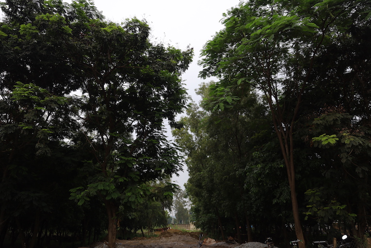 Environment