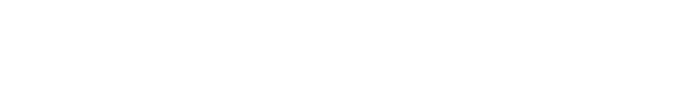 Banner Video